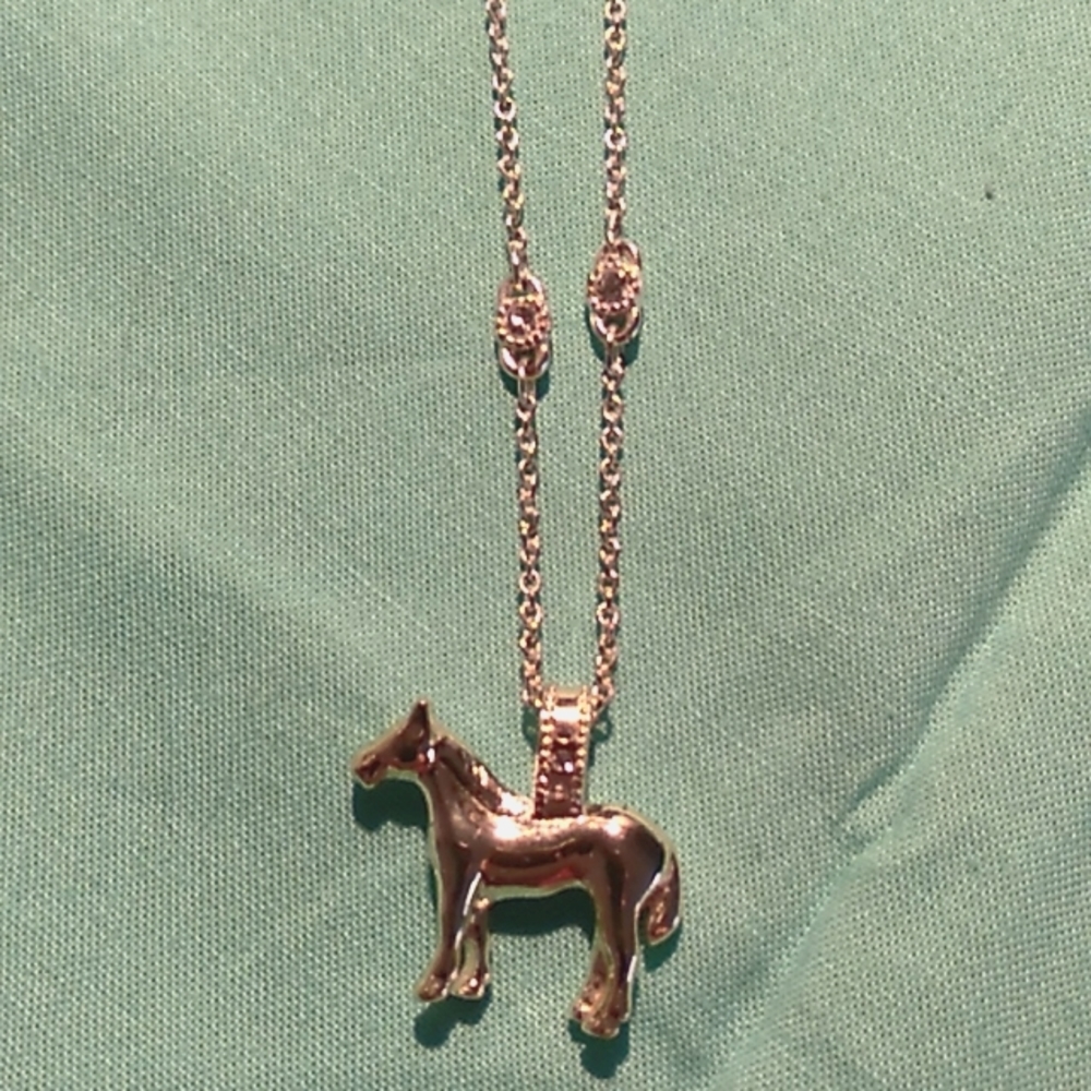 Montana west silver and gold necklace 9.4 drop with 3 inch extra.